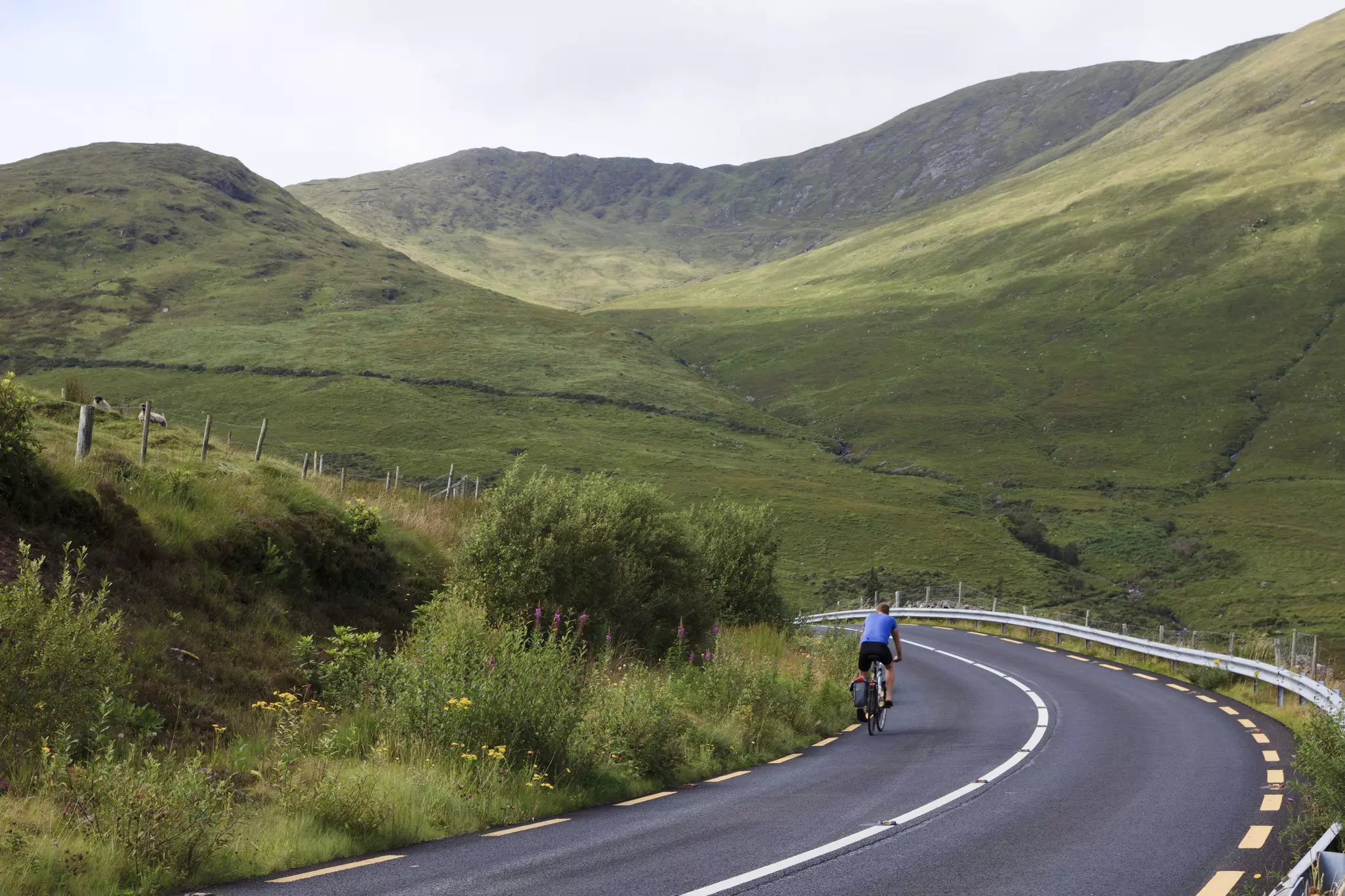 A cyclist is seen from behind pedaling on a country road through lush green hills in Connemara, Ireland
