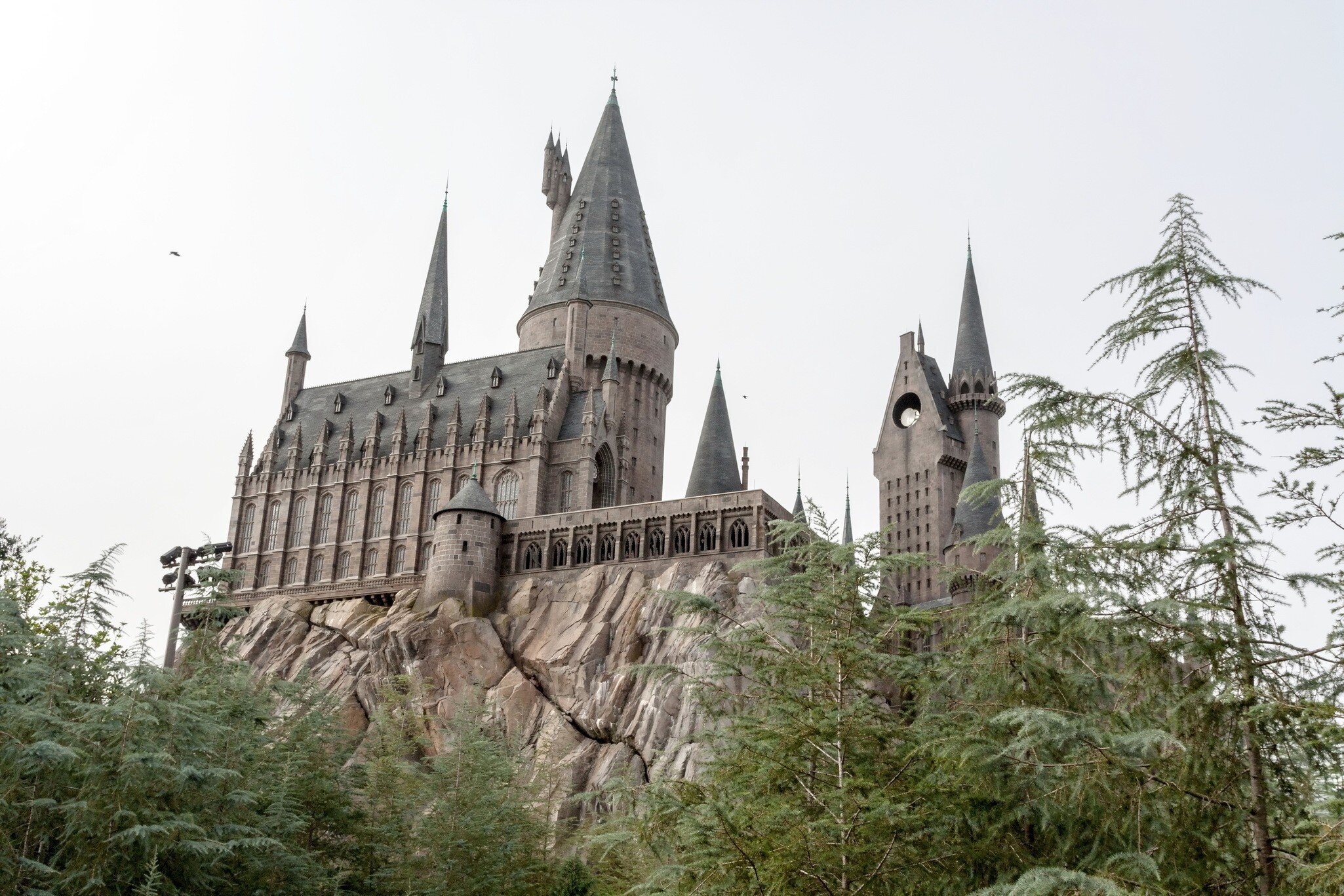 A many-spired stone castle perched on a rocky outcrop above pine trees.
