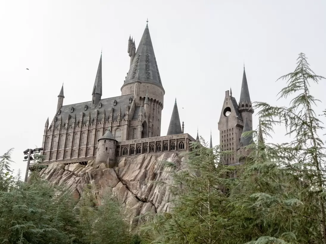A many-spired stone castle perched on a rocky outcrop above pine trees.