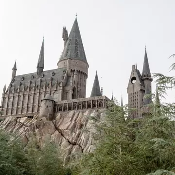 A many-spired stone castle perched on a rocky outcrop above pine trees.