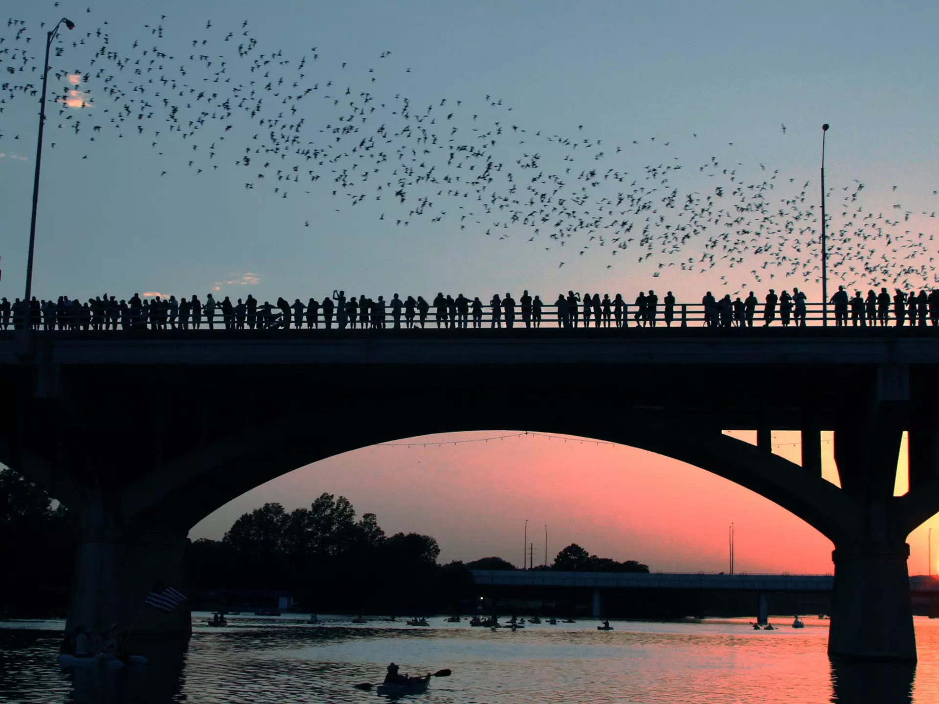 People in silhouette stand on a bridge over a river as the sun sets. The sky above is full of bats flying away together.