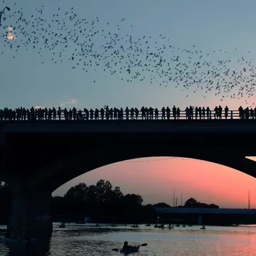 People in silhouette stand on a bridge over a river as the sun sets. The sky above is full of bats flying away together.