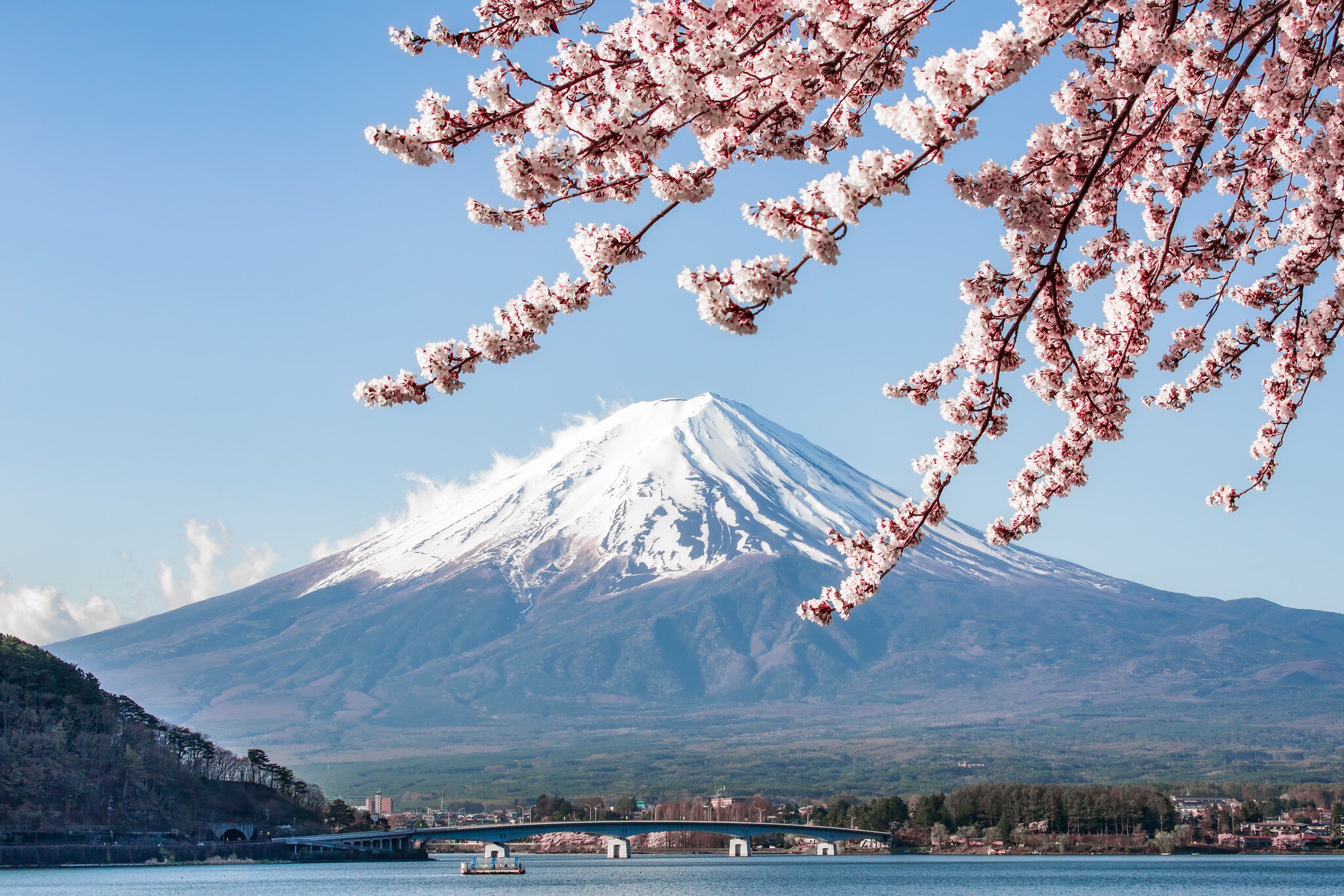 Mt. Fuji in spring