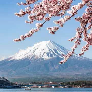 Mt. Fuji in spring