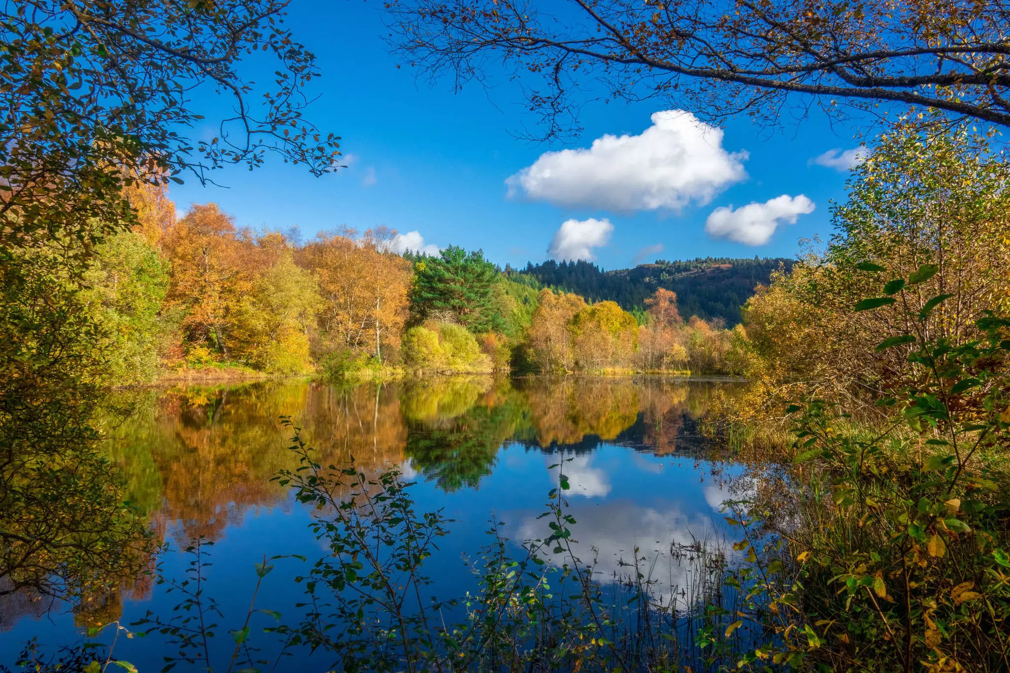 Autumn trees on a sunny day in the Trossachs.