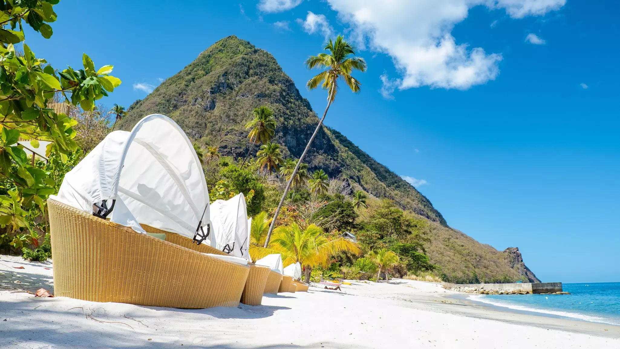 Sugar beach Saint Lucia, a public white tropical beach with palm trees and luxury beach chairs on the beach of the Island St Lucia Caribbean