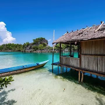 Here's what you need to know to plan the perfect trip to Raja Ampat, Indonesia's biodiversity hot spot. Paul Harding for Lonely Planet