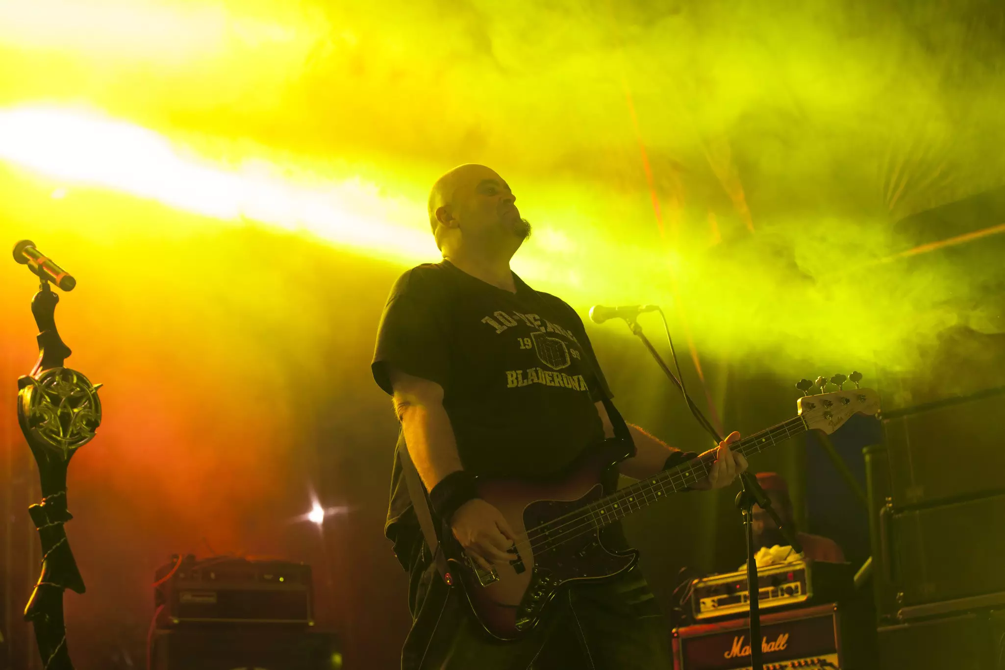 Cluj-Napoca, Romania - August 2, 2015: Cheering crowd on hard rock band, Altar`s live concert at the Untold Festival