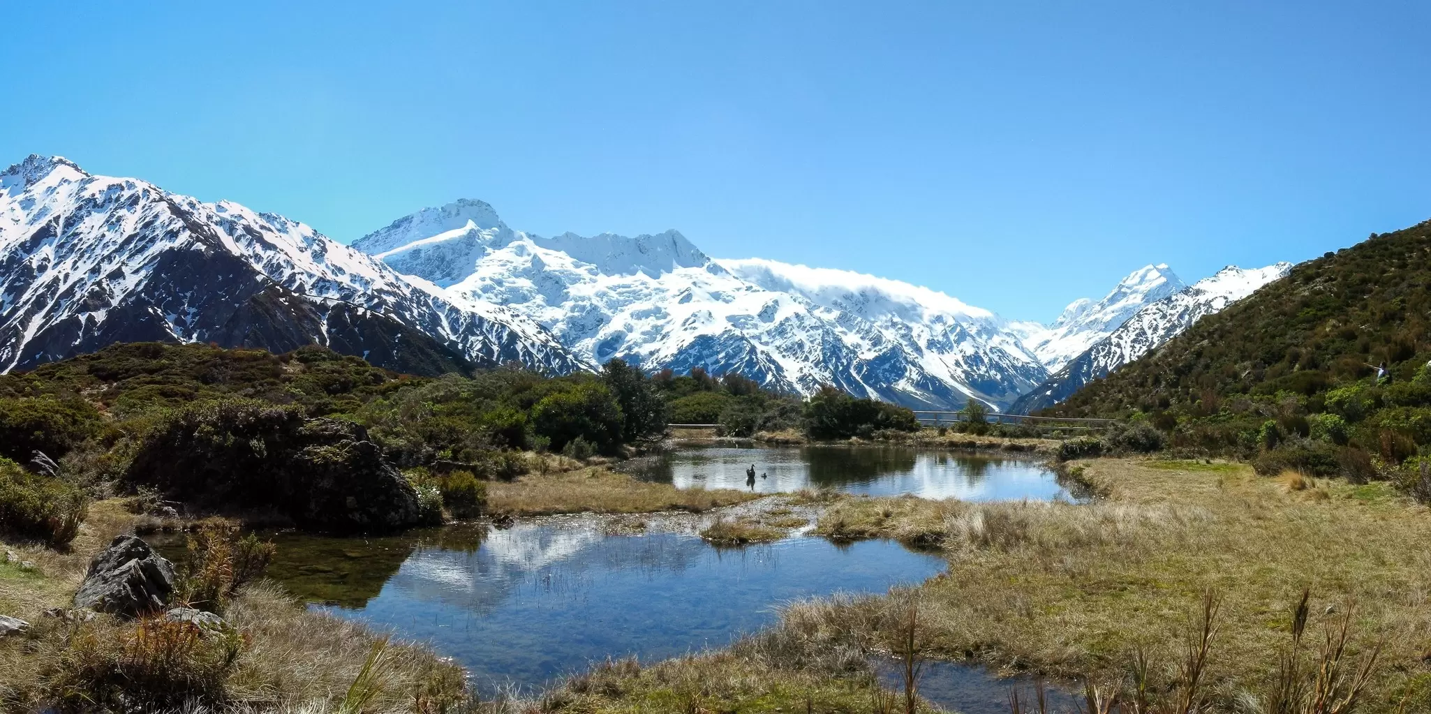 Snow-covered peaks in the background reflected in the grassy, waterlogged ground.