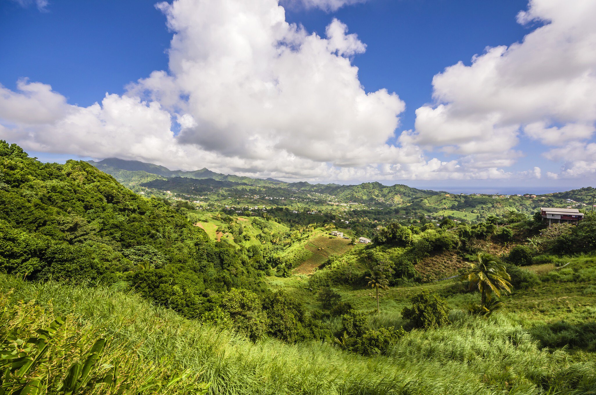 Caribbean, Grenadines, St. Vincent, Mesopotamia Valley