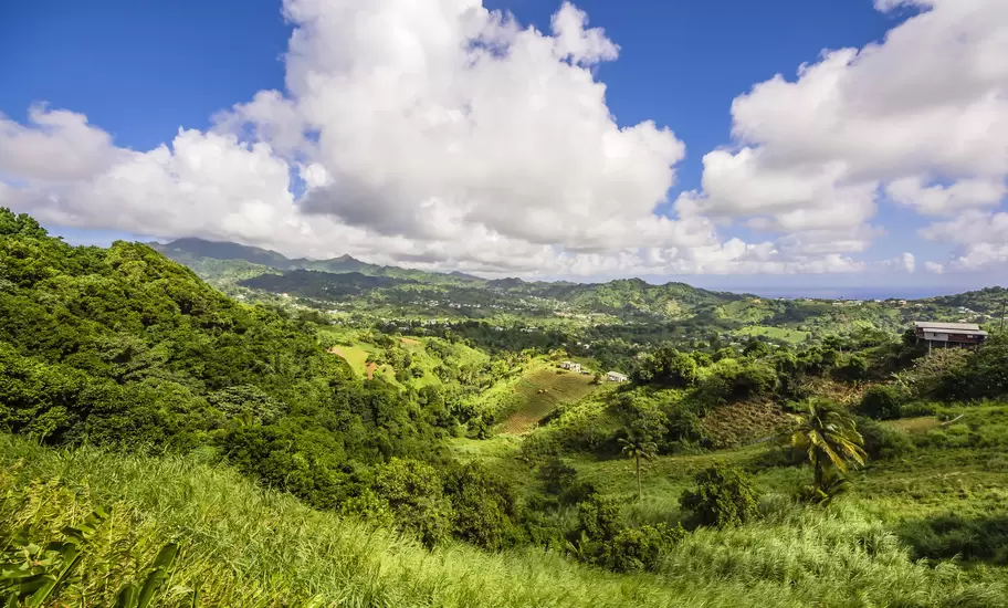 Lush green hills, farm plots and scattered houses on St Vincent, with volcanic peaks under clouds and the sea beyond