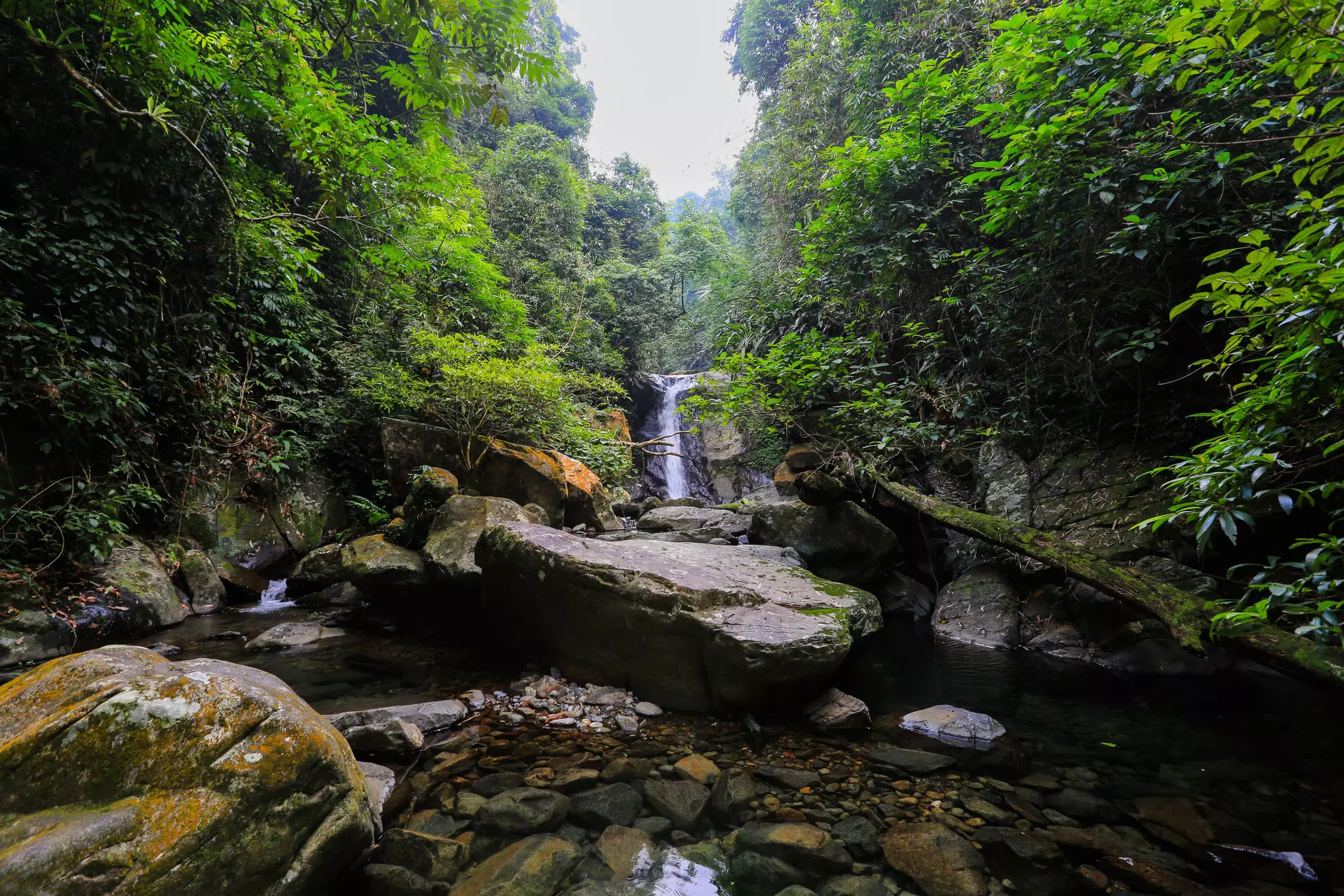 Water flows into a clear waters with visible rocks underneath