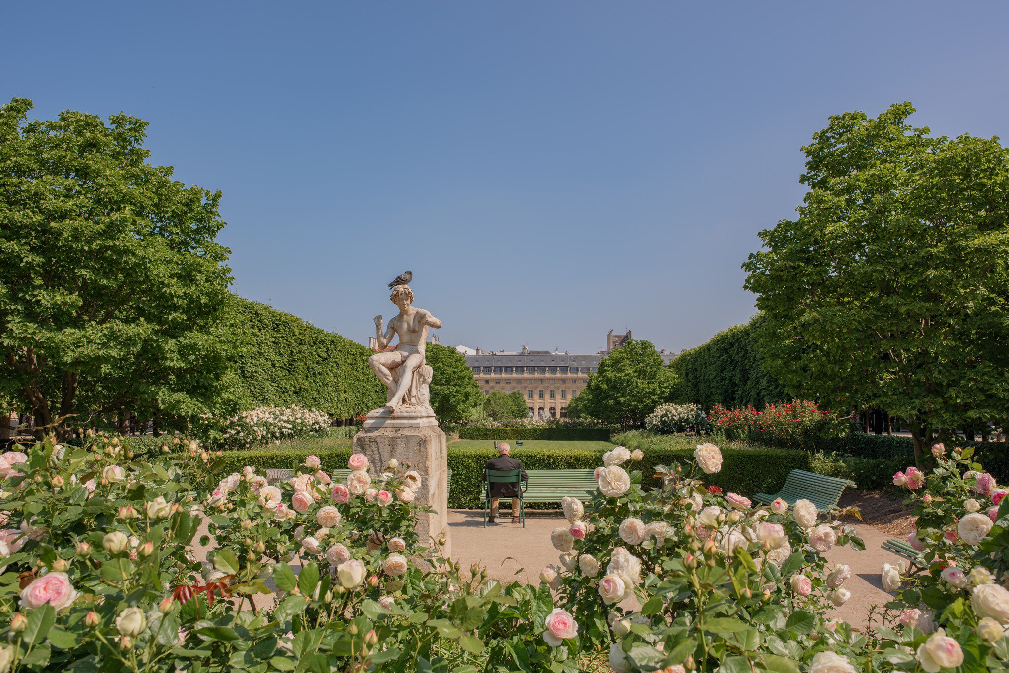 An older gentleman sits next to a statue in the garden at the Palais Royal building in Paris' Right Bank.