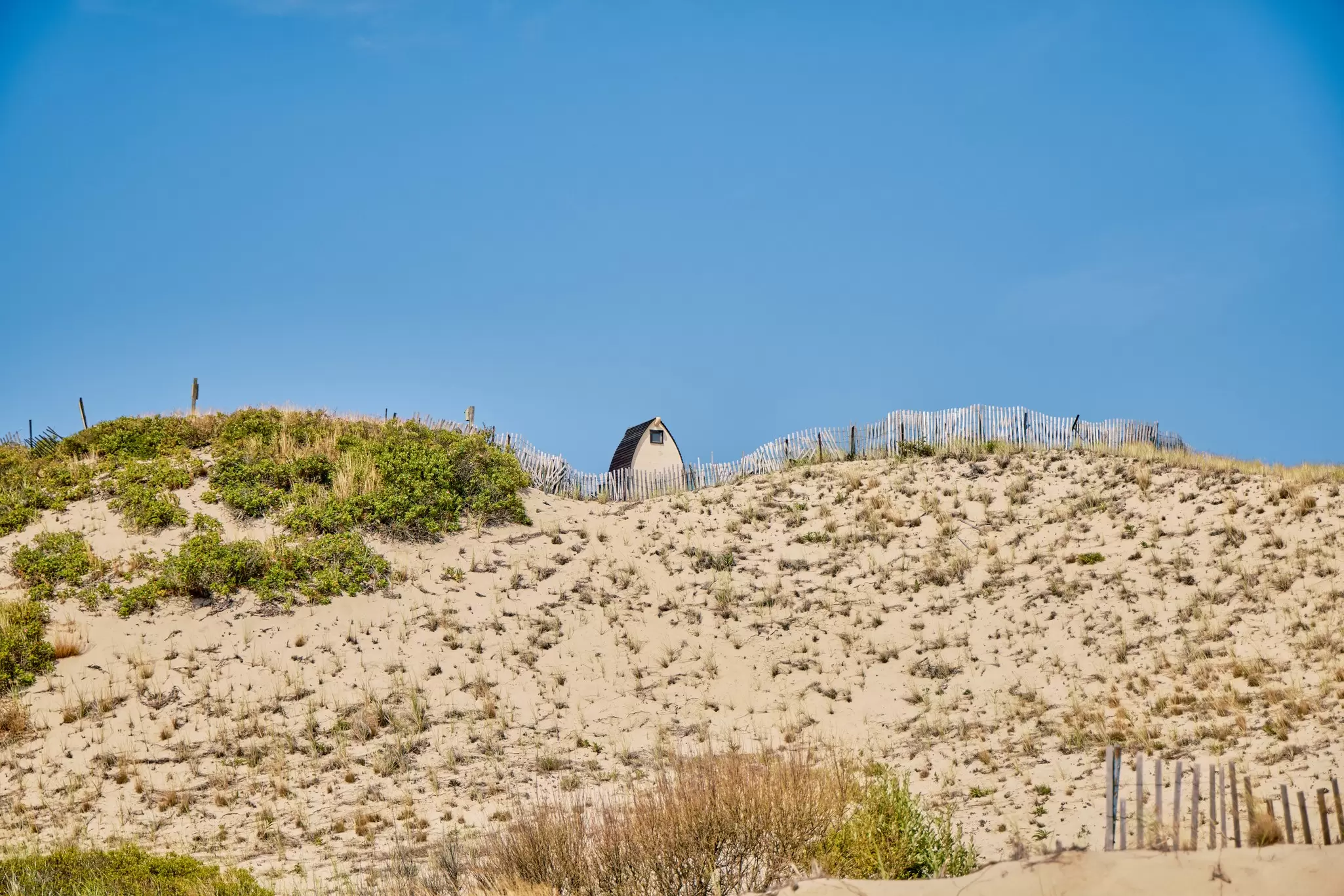 A small dune shack peeks over a grassy sand dune lined with fencing at Cape Cod National Seashore