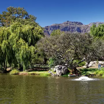 Lake at Spier Wine Farm with willows and rocky mountains.