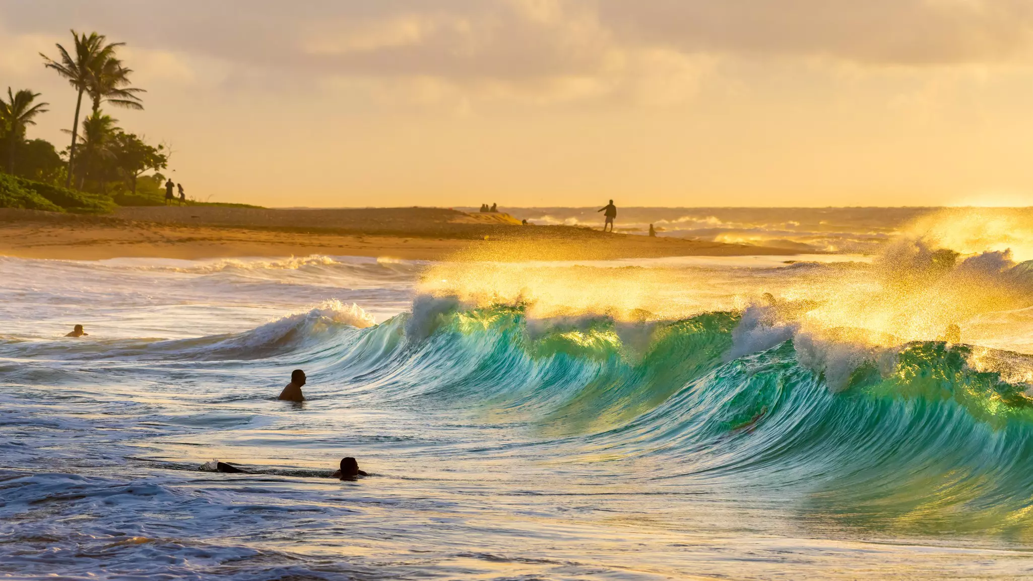 Sandy Beach Park, Honolulu