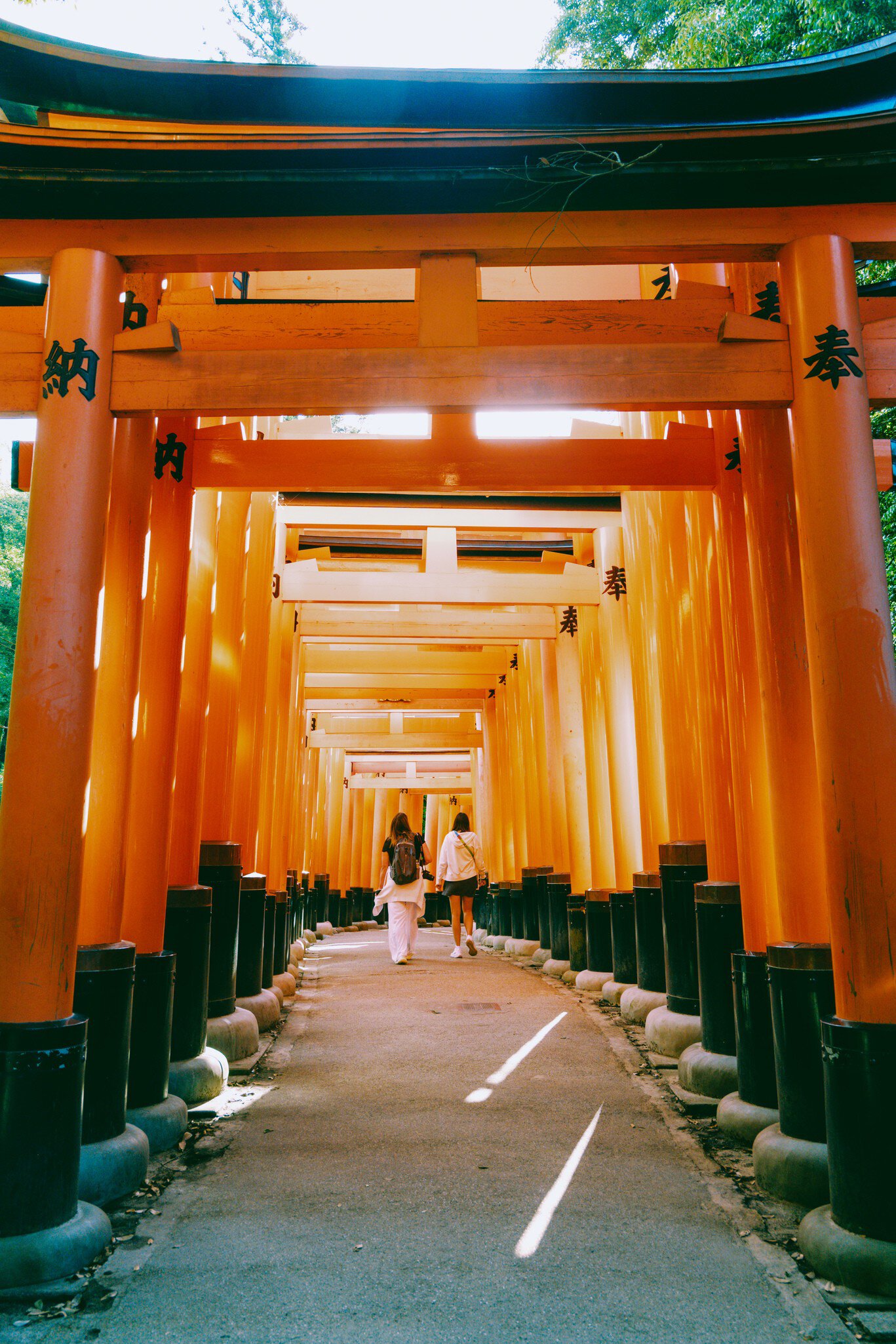 People walking under thousands of Torii at Fushimi Inari Taisha Shrine.