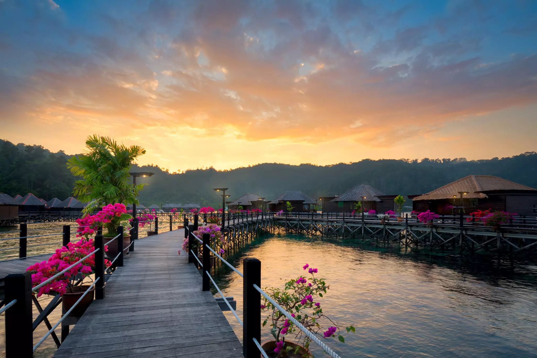 A flower-lined bridge in French Polynesia