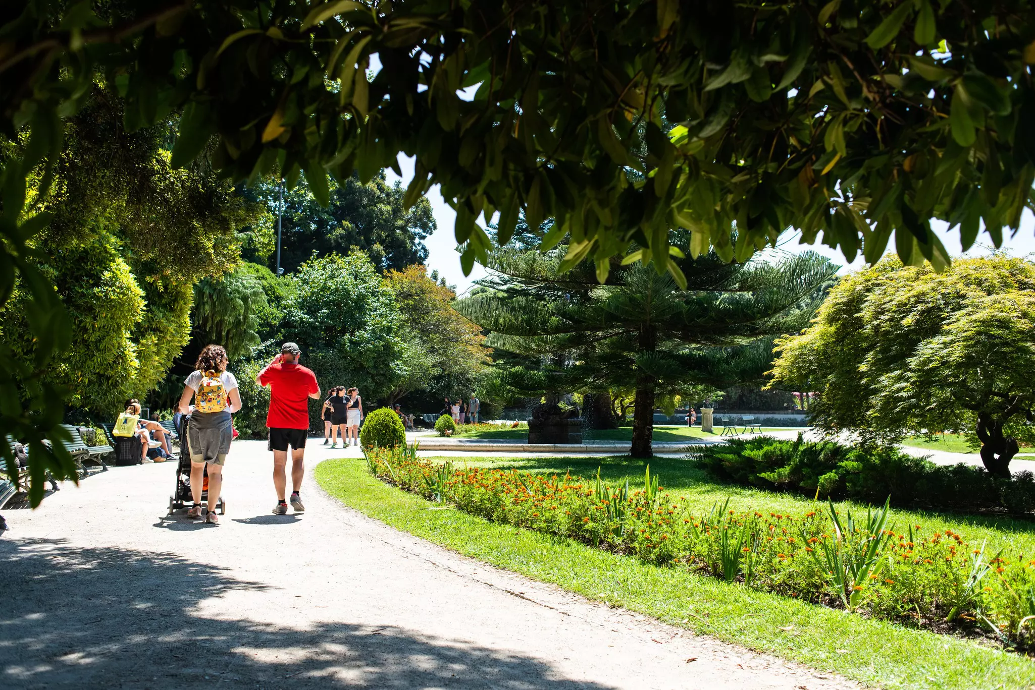 A family walks on a path shaded by trees in a lush city park.