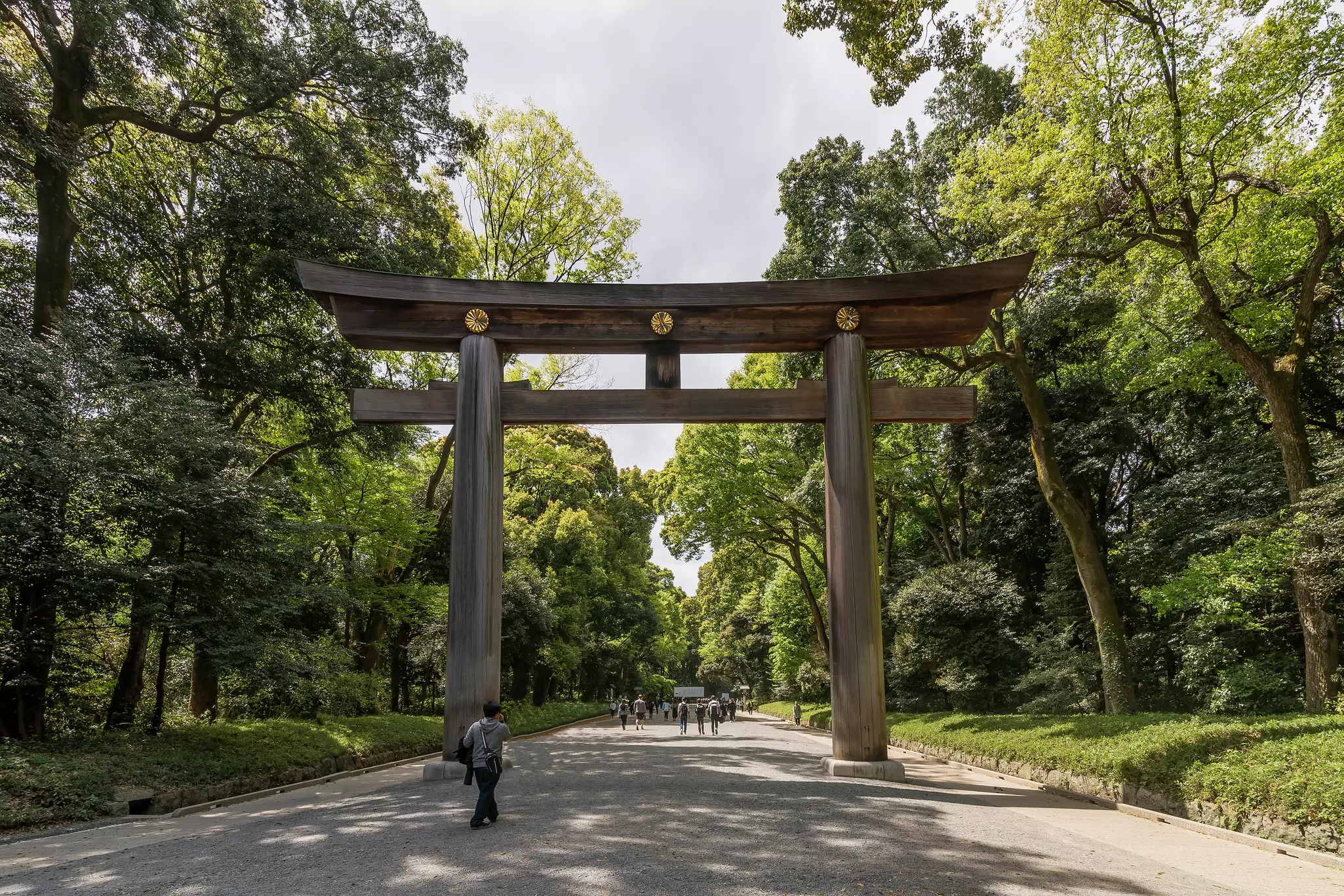 A large wooden gateway in parkland