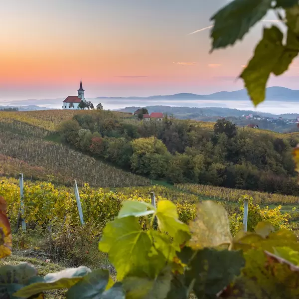 The Church of Saint Anne (Cerkev sv. Ane) resting atop a scenic vineyard hill in the village of Vidošiči.