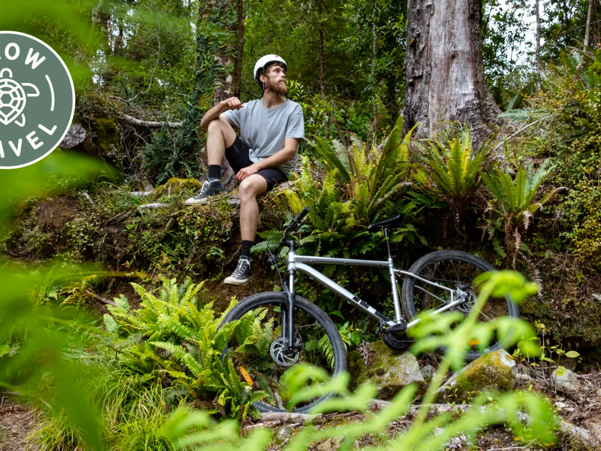 New Zealand offers plenty of multi-day biking adventures, as well as shorter, easier segments © SolStock / Getty Images