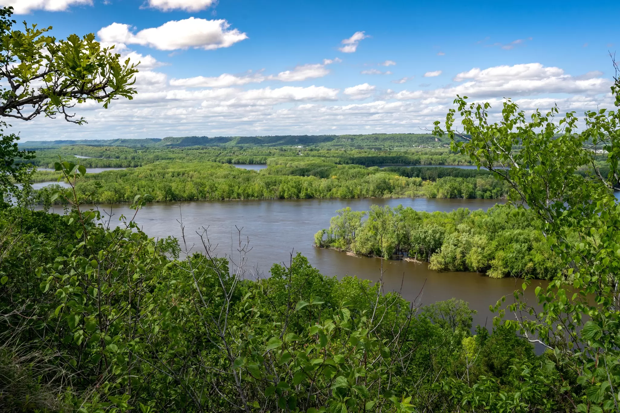 A view over green scenery along the Mississippi River from Red Wing, Minnesota. 