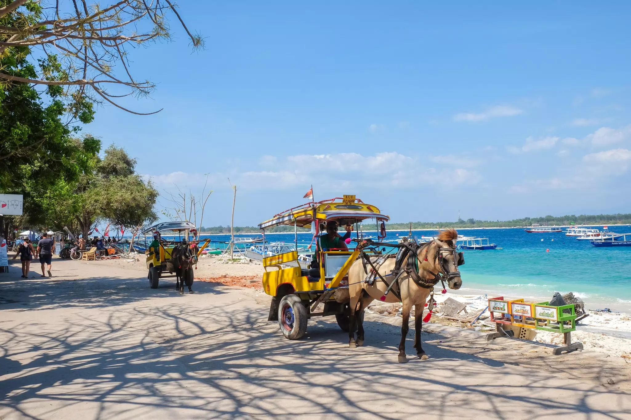 Getting around by horse and carriage on Gili Trawangan, Lombok, Indonesia. 
