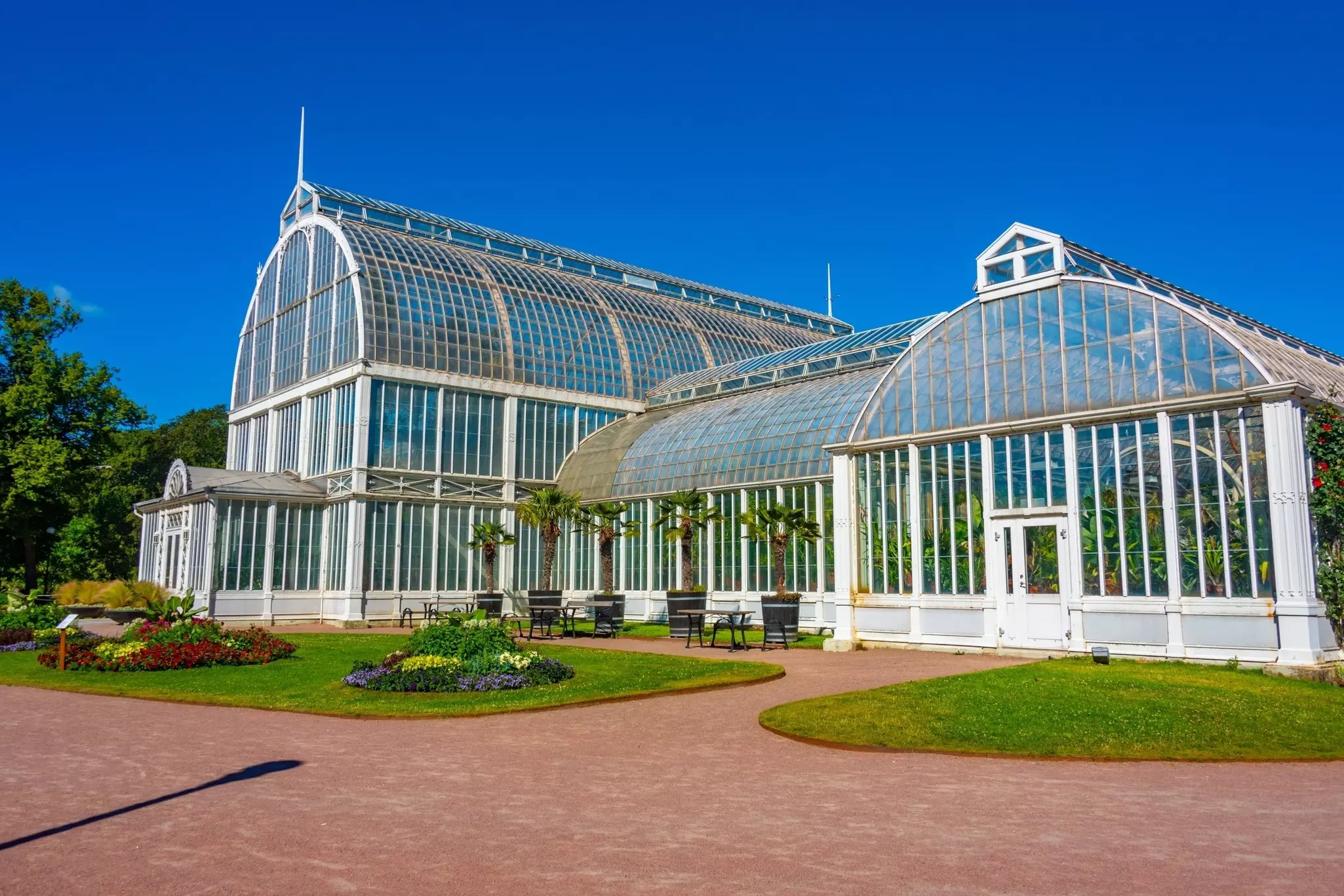 The palm greenhouse at the Garden Society of Gothenburg in Sweden., License Type: media, Download Time: 2025-02-04T22:18:27.000Z, User: claramonitto, Editorial: false, purchase_order: 56530 - Guidebooks, job: Global Publishing-WIP, client: Pocket Copenhagen 7, other: Clara Monitto