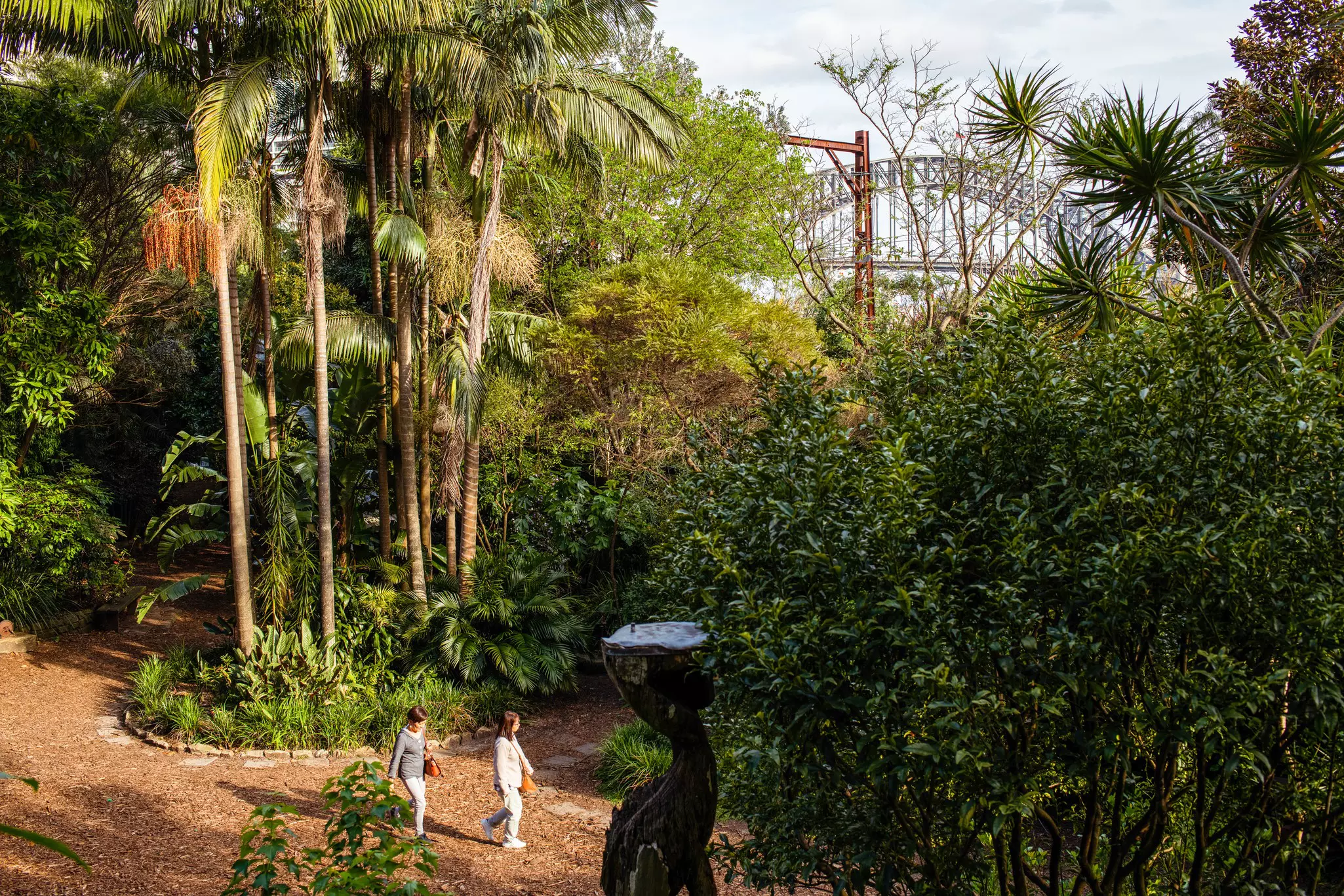 People walk through lush greenery in an urban wooded area.