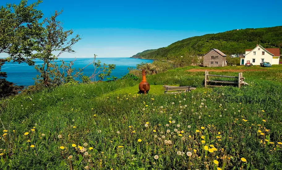 Coastal meadow of dandelions with a bench and firepit overlooking the sea, houses along a green hillside beyond