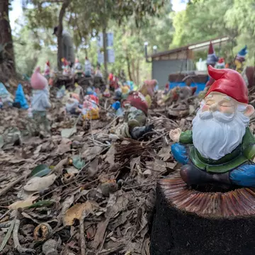 Gnomesville, Wellington Mill.jpg