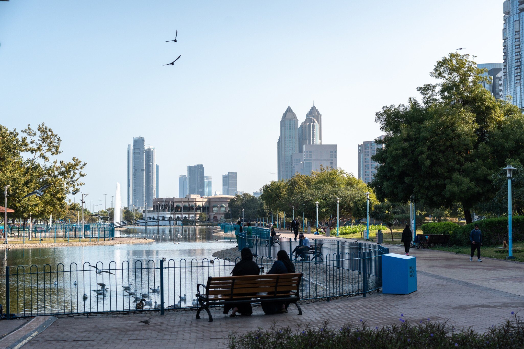 Abu Dhabi, United Arab Emirates - January 28, 2025: The Lake Park with with ducks, geese and seagulls near Abu Dhabi Corniche walk promenade UAE travel landmarks, editorial image, License Type: media, Download Time: 2026-07-09T23:30:01.000Z, User: dermothegarty77, Editorial: true, purchase_order: 56530 - Guidebooks, job: Global Publishing WIP, client: Oman, UAE & Arabian Peninsula, other: Dermot Hegarty