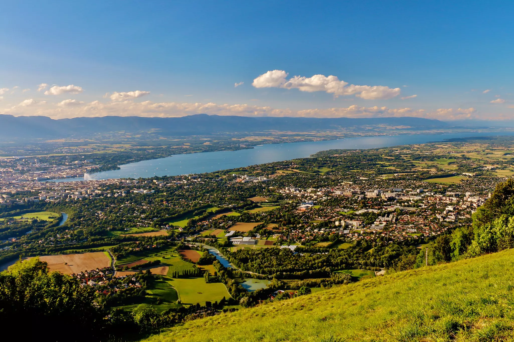 Townscape with lush foliage on sunny day, Geneva