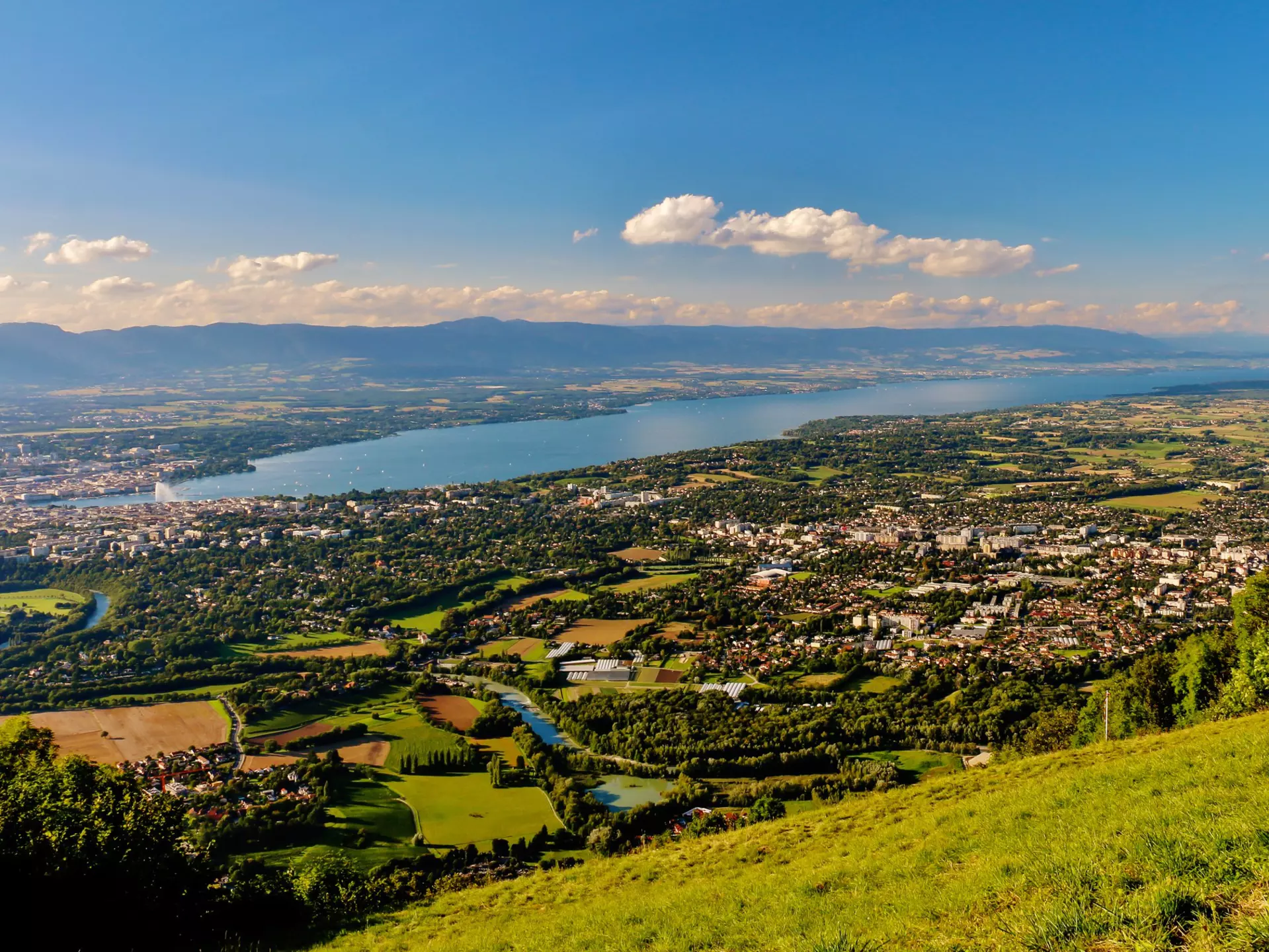 Townscape with lush foliage on sunny day, Geneva