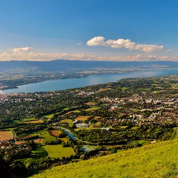 Townscape with lush foliage on sunny day, Geneva