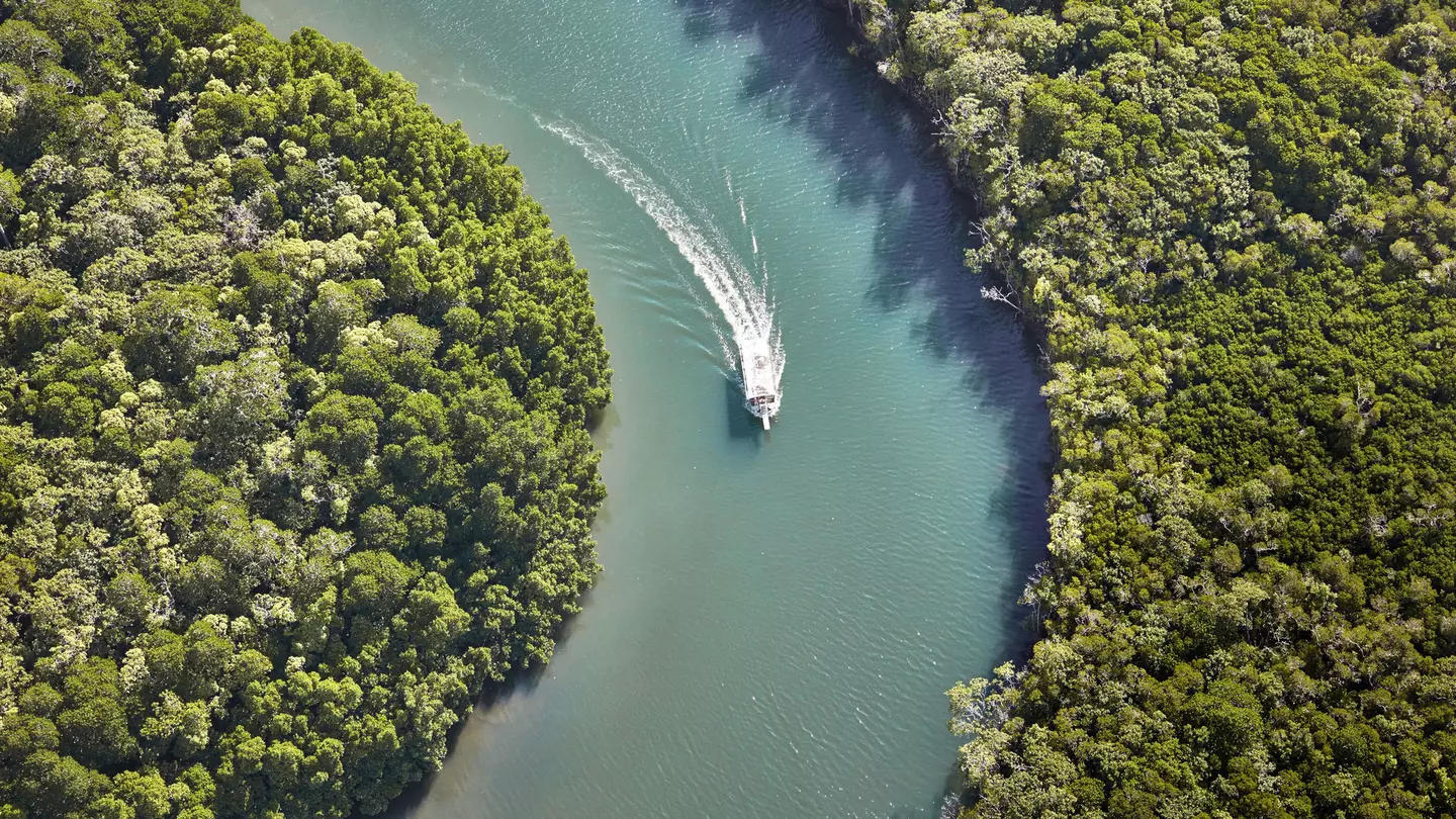 A curve of the Daintree River in tropical north Queensland's Daintree Rainforest. Ewen Bell / Lonely Planet