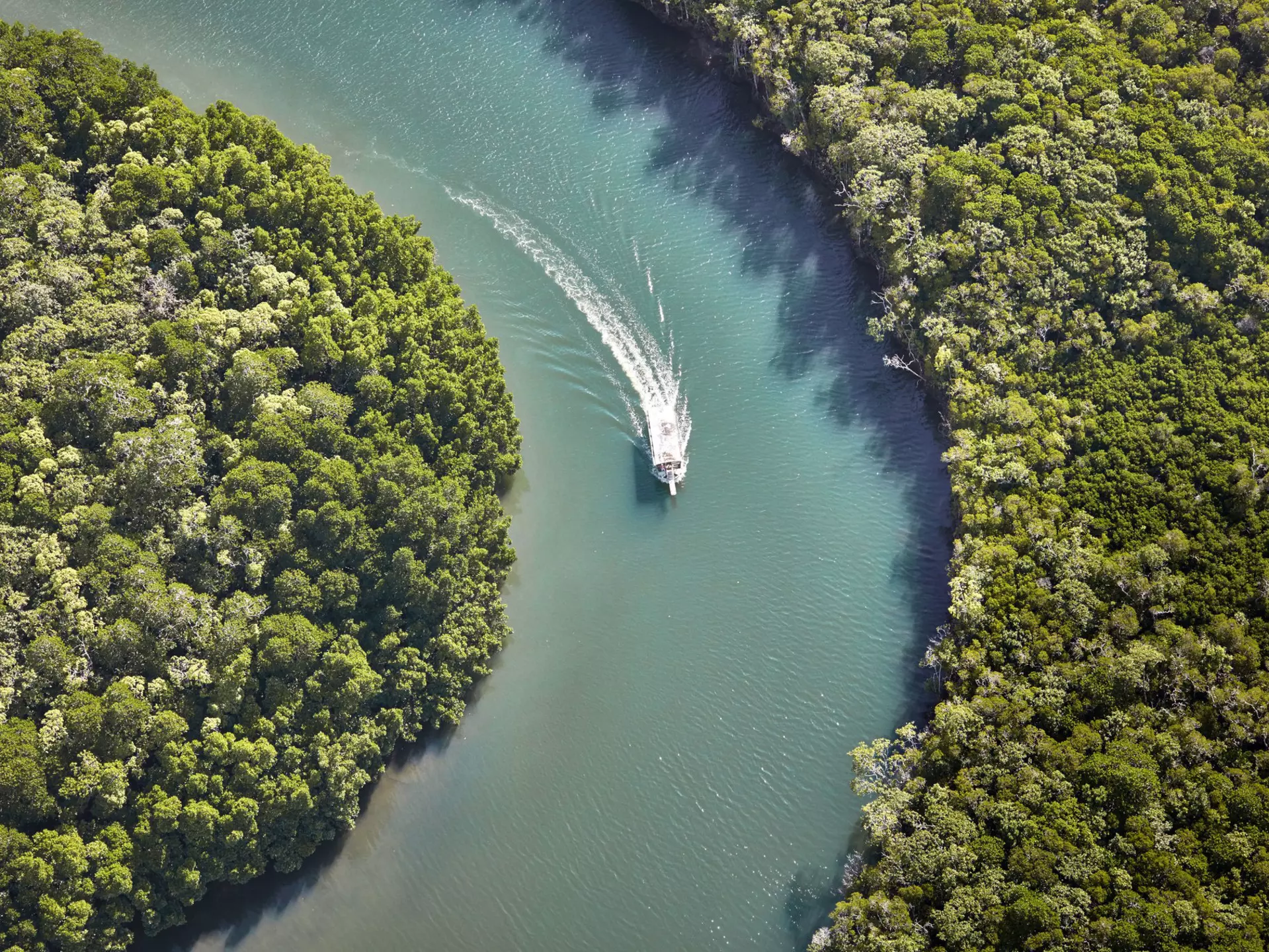 A curve of the Daintree River in tropical north Queensland's Daintree Rainforest. Ewen Bell / Lonely Planet
