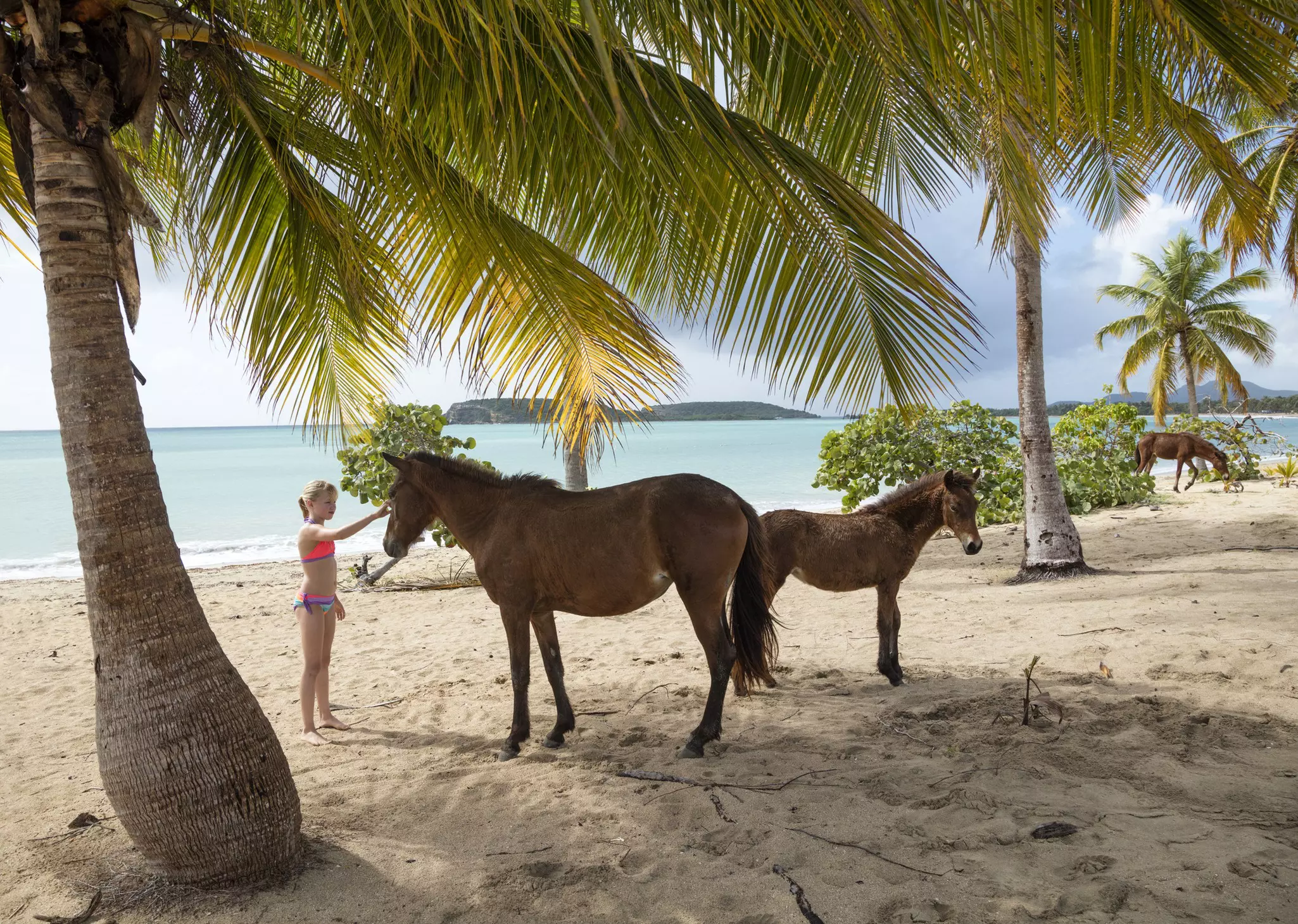 Once you experience Puerto Rico's incredible beaches, you may never want to leave © 	Per Breiehagen / Getty Images