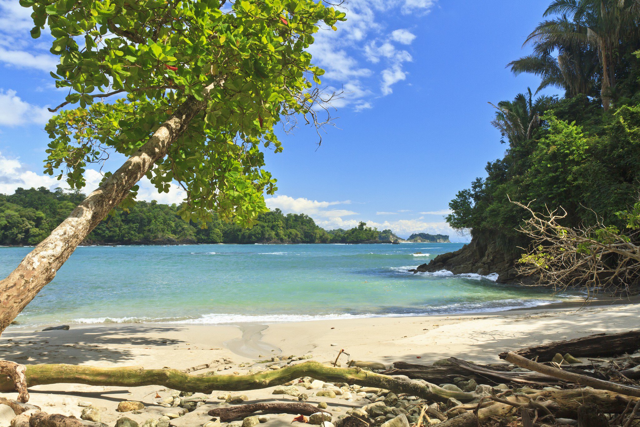 An askew shade tree on the south end of Playa Manuel Antonio in Manuel Antonio National Park, Costa Rica; Shutterstock ID 126481505;