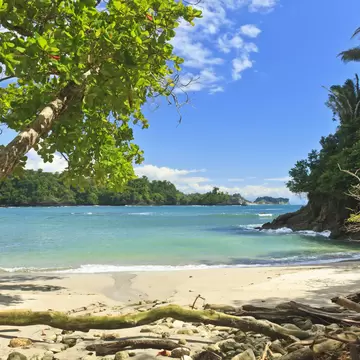 An askew shade tree on the south end of Playa Manuel Antonio in Manuel Antonio National Park, Costa Rica; Shutterstock ID 126481505;