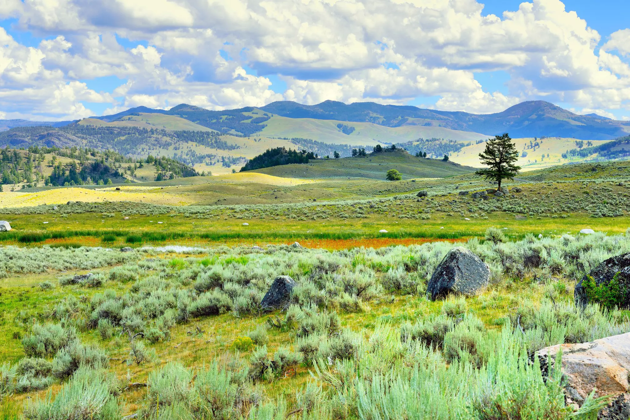 Lamar Valley, Yellowstone National Park. Alexey Kamenskiy/Shutterstock