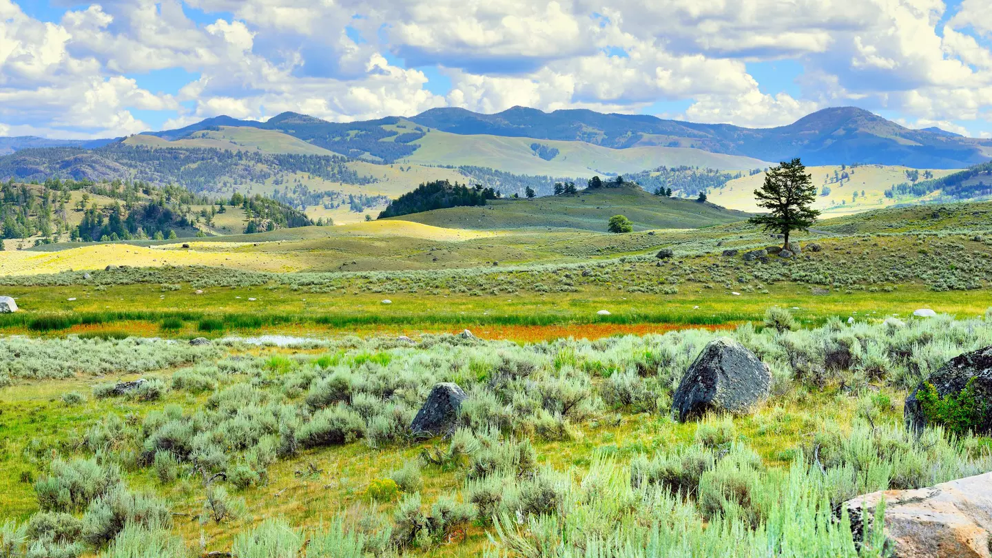A green rolling landscape among larger mountains on a sunny day