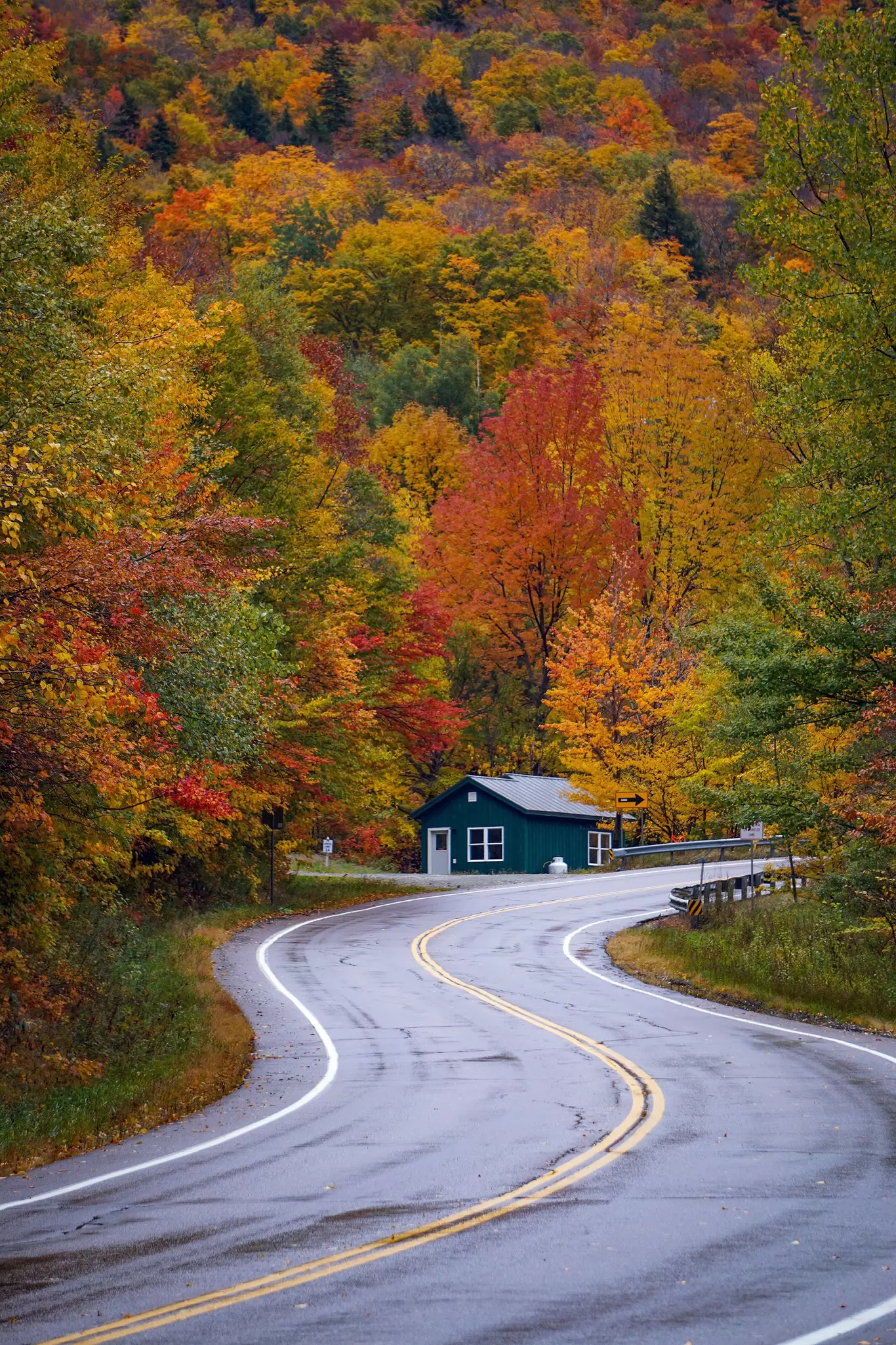 A blue home at the curve in a blacktop road through trees with autumn foliage.