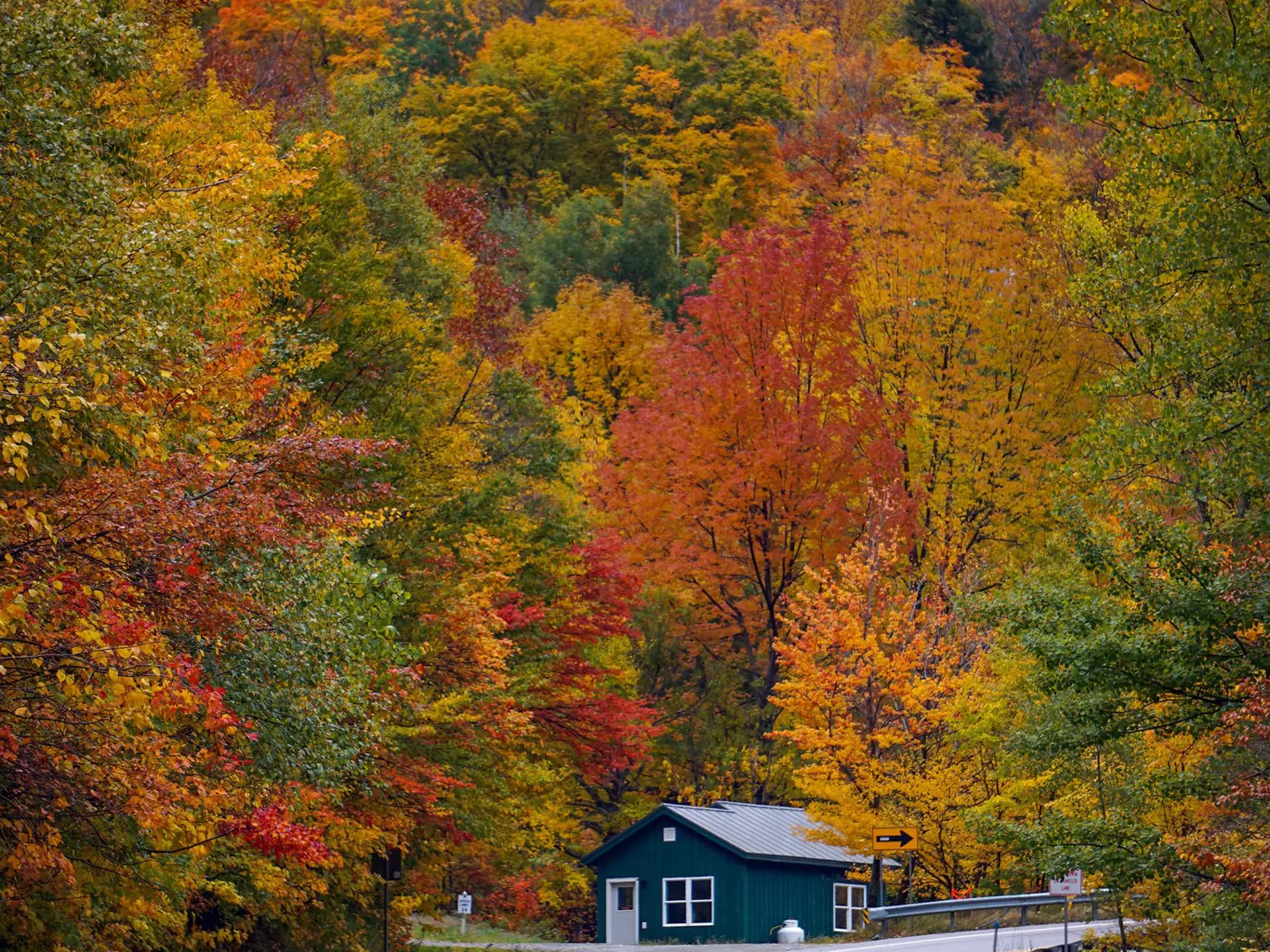 A blue home at the curve in a blacktop road through trees with autumn foliage.