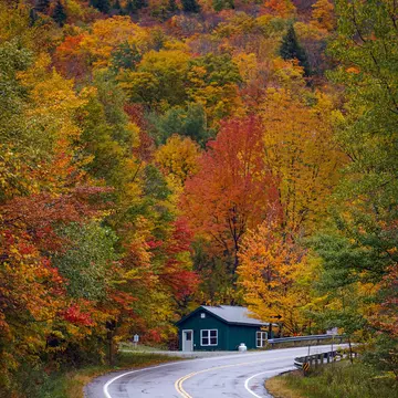A blue home at the curve in a blacktop road through trees with autumn foliage.