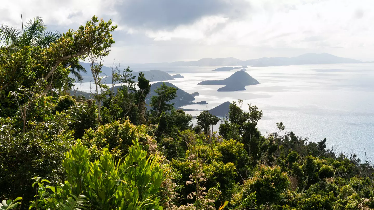 Islands are seen in the sea from the top of a lush hilltop on a tropical island.