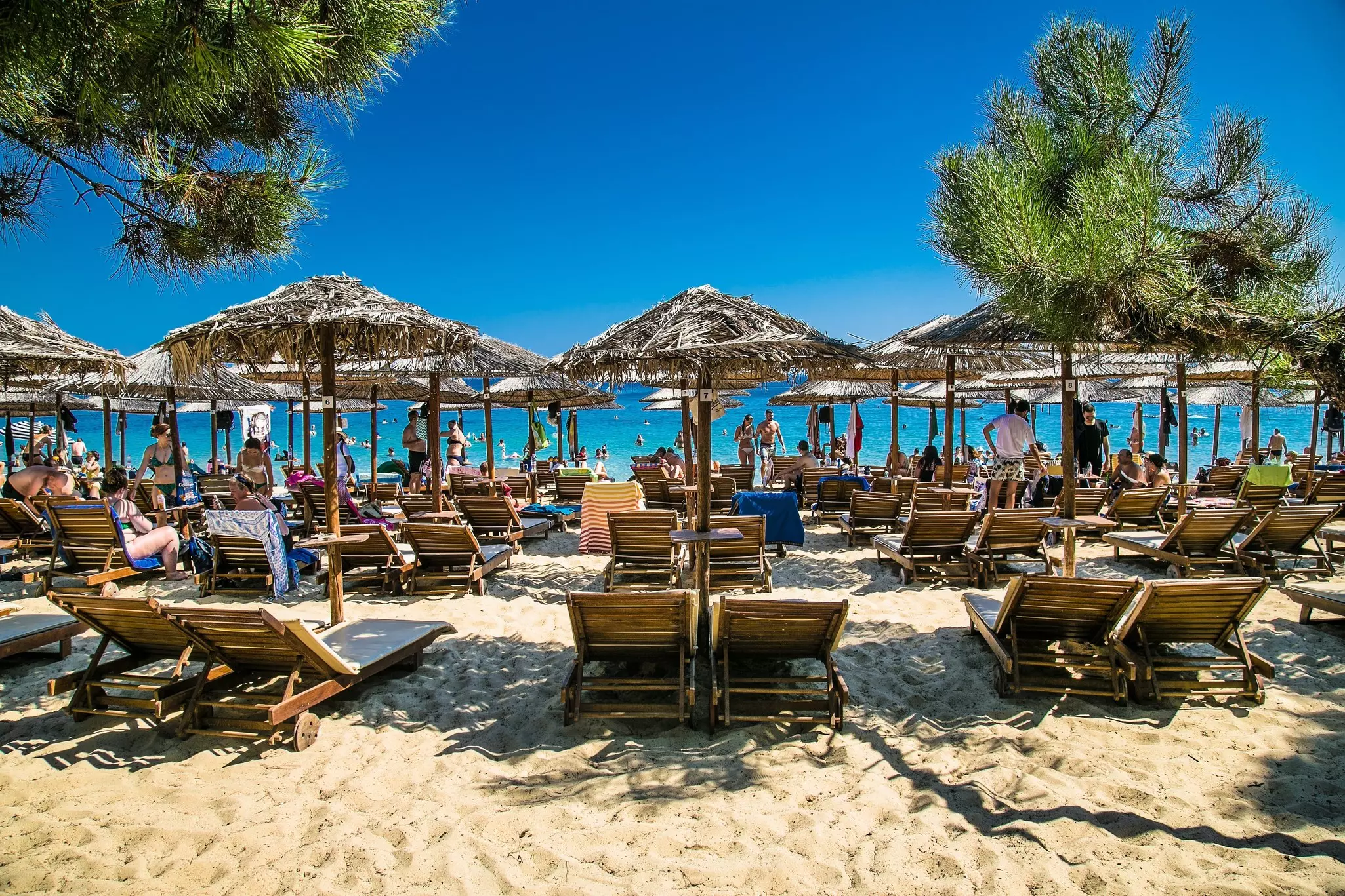 Rows of sunloungers and shades on a sandy beach on a sunny day.