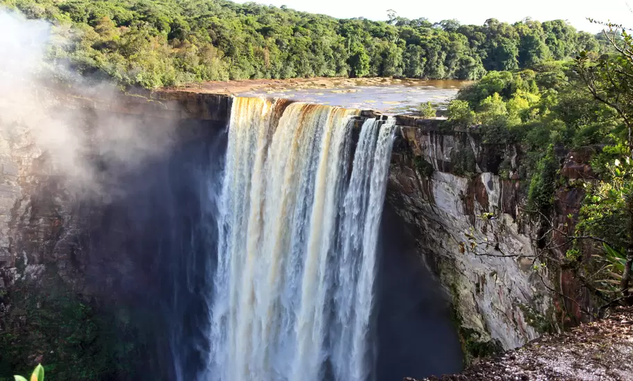 Powerful single-drop waterfall plunging into a deep gorge surrounded by lush rainforest