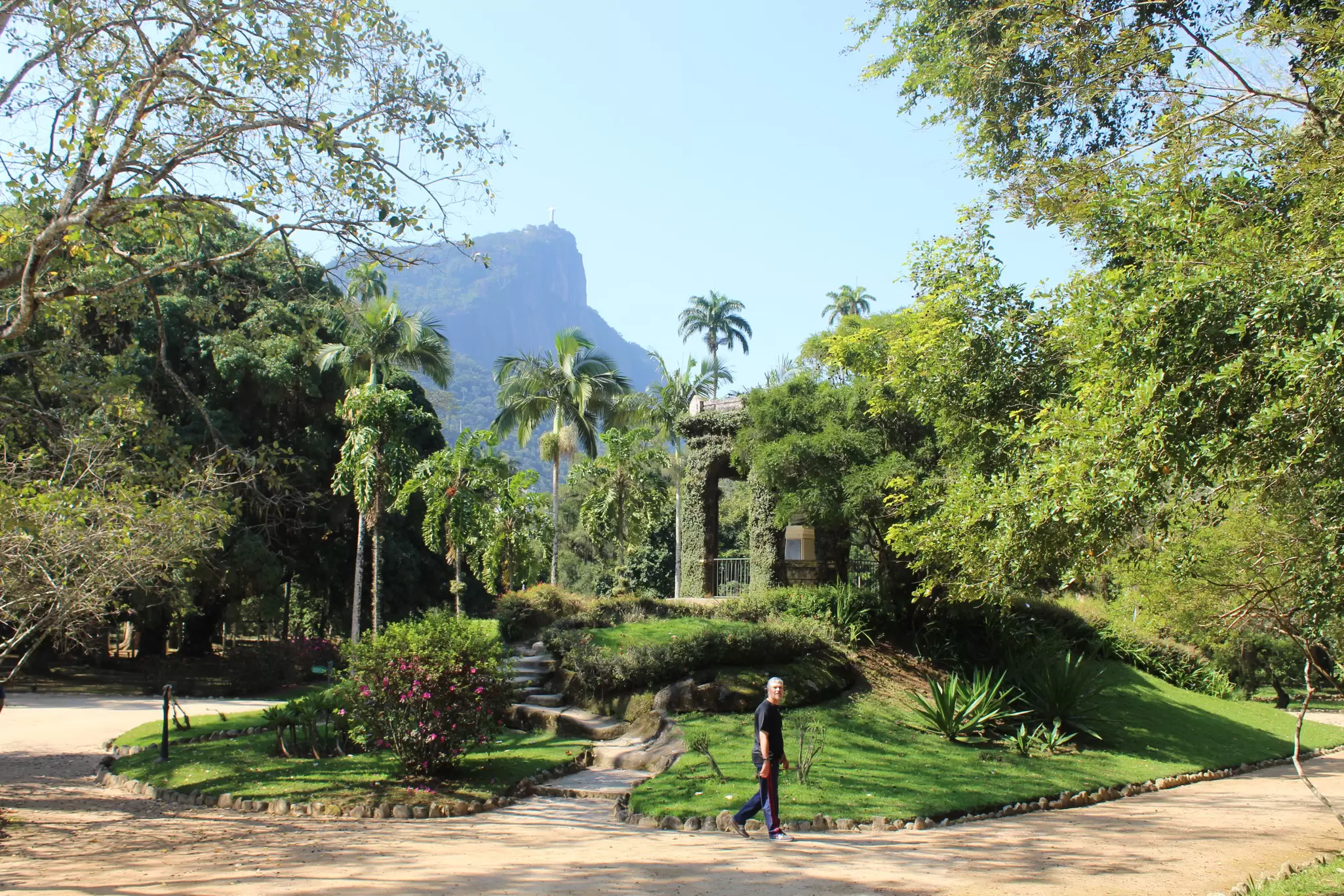 Visitors walking amidst green foliage at the Jardim Botânico in Rio de Janeiro, Brazil.
